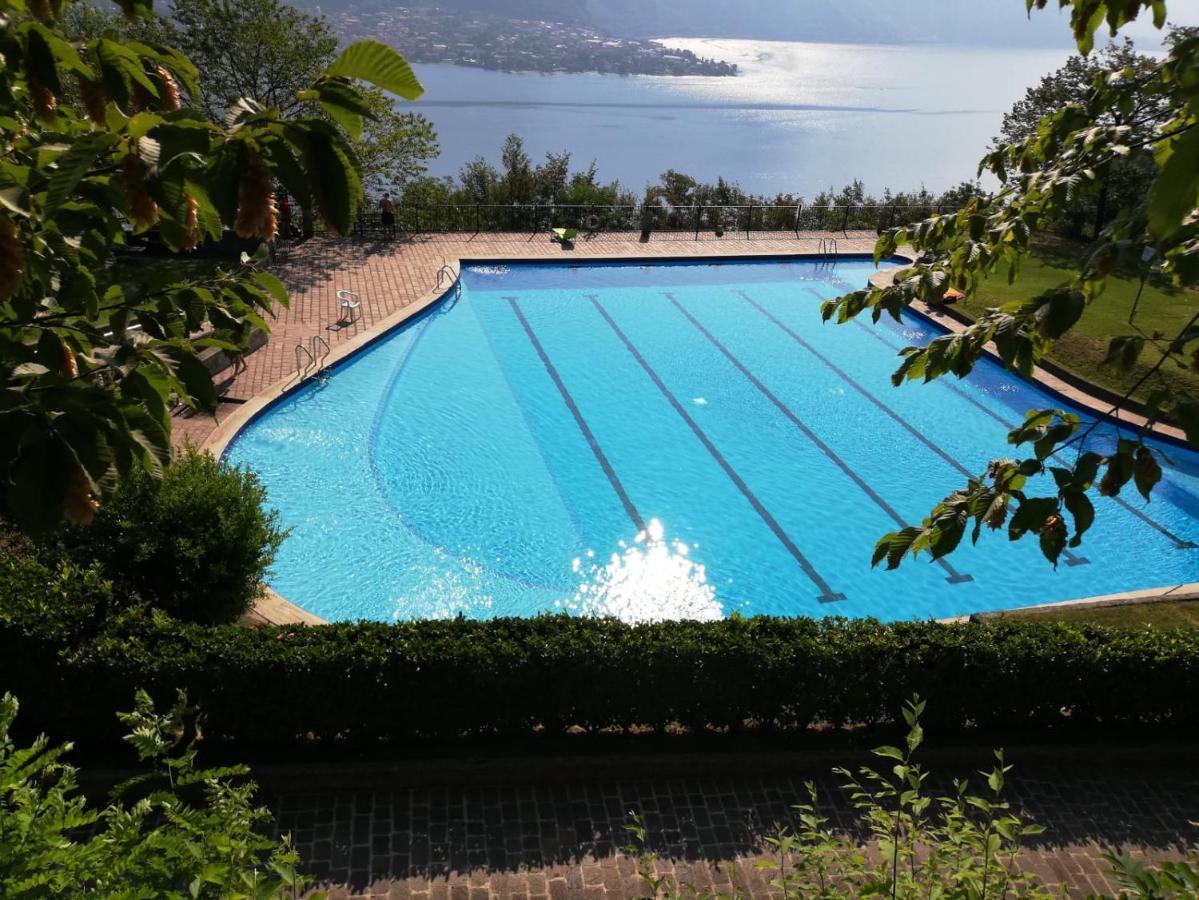 Attico With Big Terrace In Residence With Pool Valbrona Exteriör bild